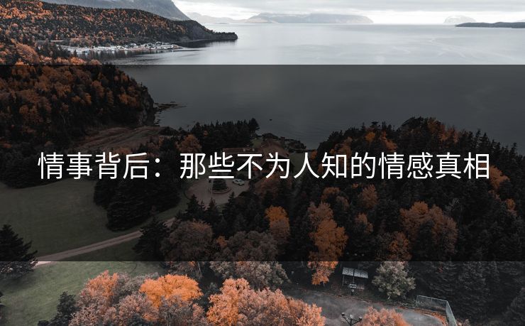 情事背后：那些不为人知的情感真相  第1张