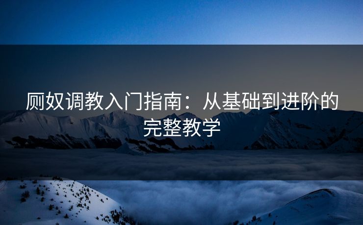 厕奴调教入门指南：从基础到进阶的完整教学  第1张