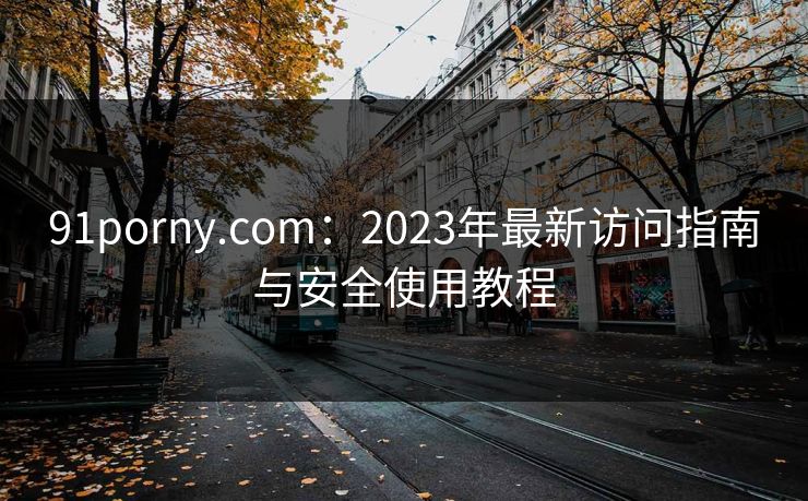 91porny.com：2023年最新访问指南与安全使用教程