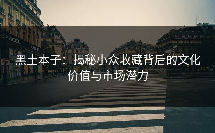 黑土本子：揭秘小众收藏背后的文化价值与市场潜力  第1张