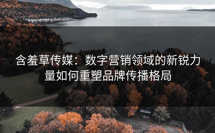 含羞草传媒：数字营销领域的新锐力量如何重塑品牌传播格局
