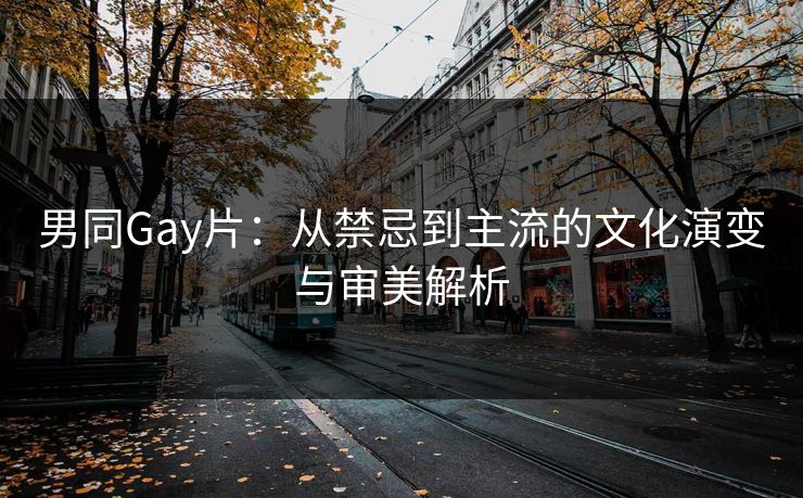 男同Gay片：从禁忌到主流的文化演变与审美解析