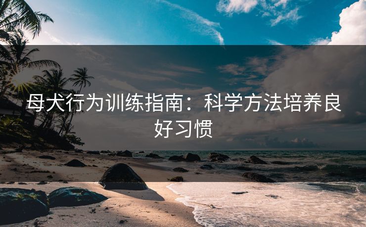 母犬行为训练指南：科学方法培养良好习惯  第1张