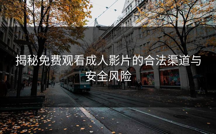 揭秘免费观看成人影片的合法渠道与安全风险